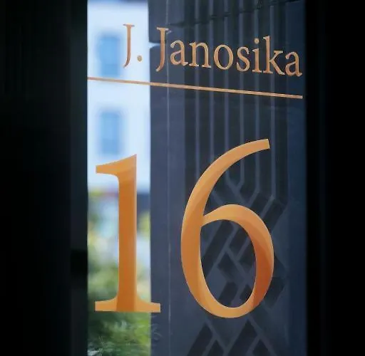 Aloha Neu, Modern, Zentrumsnah